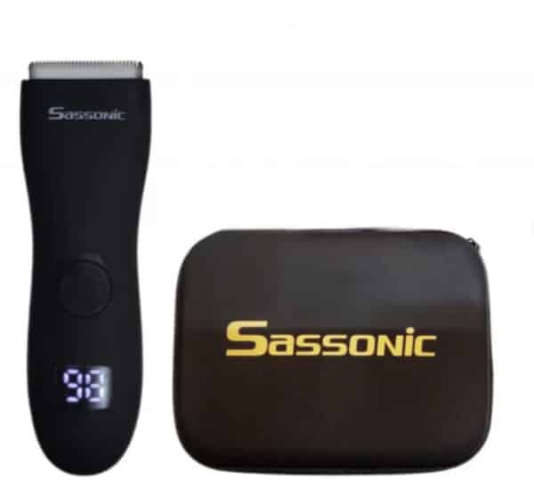 sass3-600x550
